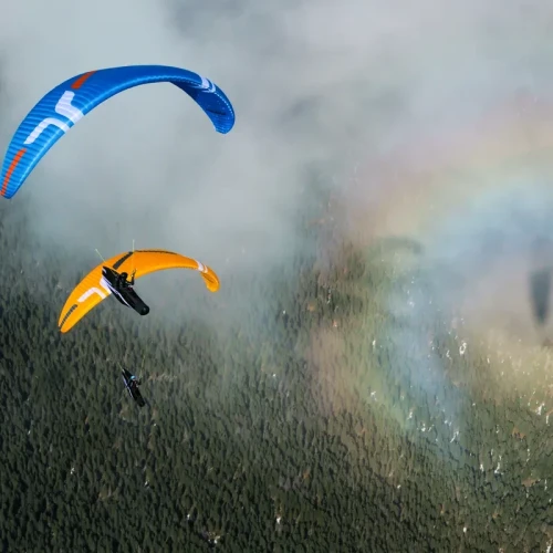 Ozone ALPINA 4 GT - Parapente Semi Light Performance Cross EN C | Flying Fish 2