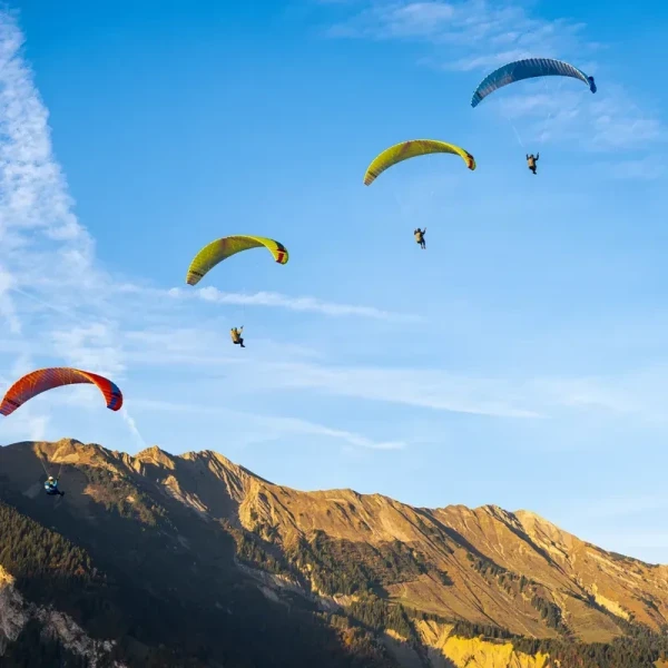 Ozone MOXIE - Aile Parapente Débutant & Progression EN A | Flying Fish