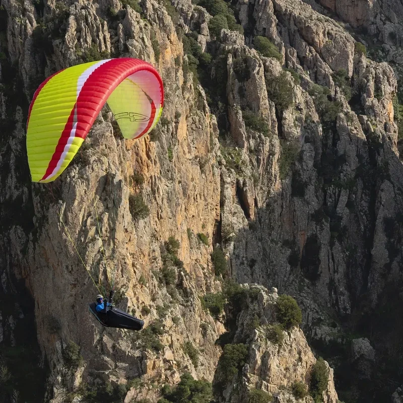AirDesign Vivo 2 Déstockage - Voile Parapente Neuve EN-B | Flying Fish