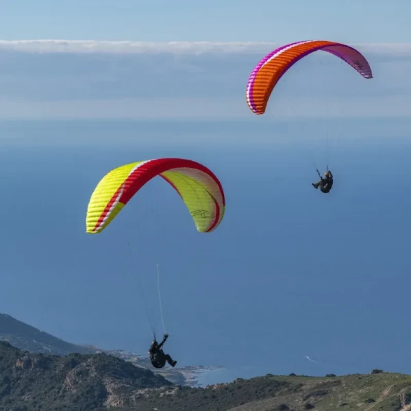AirDesign Vivo 2 Déstockage - Voile Parapente Neuve EN-B | Flying Fish