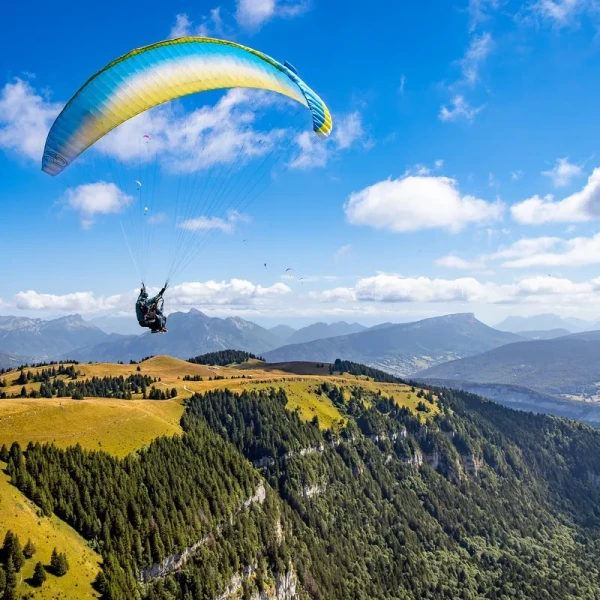 AirDesign Ride 4 - Parapente Biplace Pro EN-B | Flying Fish
