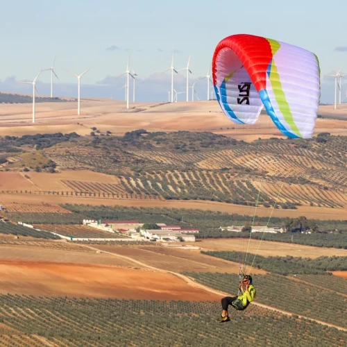 AirDesign SuSi 4 Occasion - Voile Hike & Fly Ultra-Légère | Flying Fish