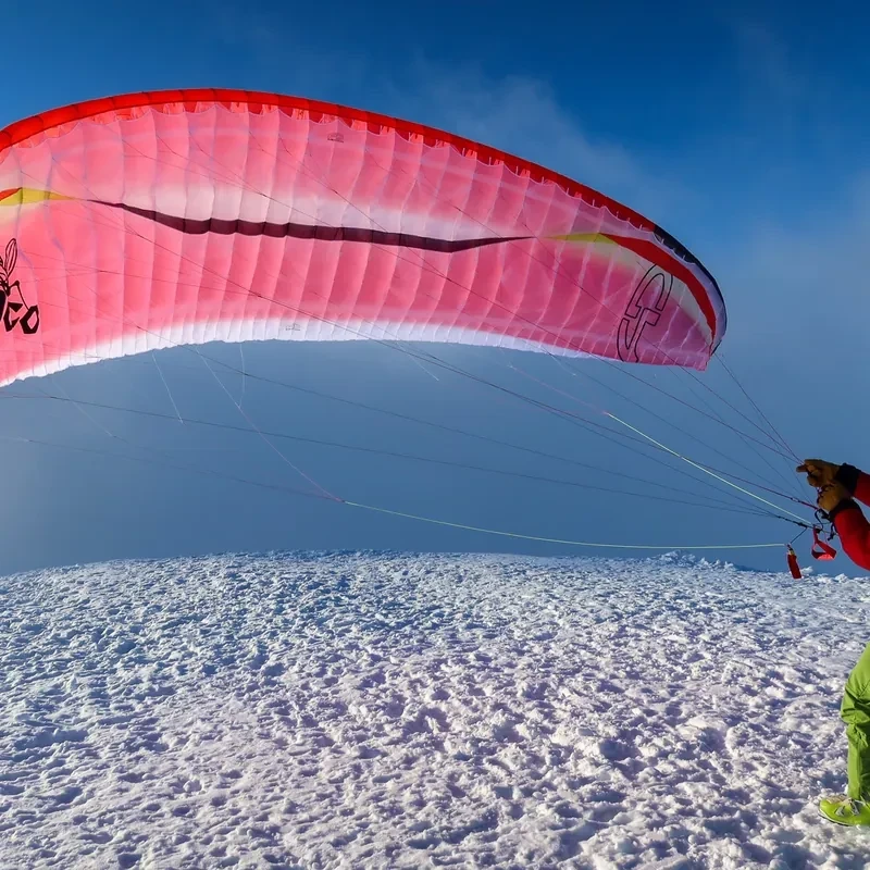 AirDesign Loco Occasion- Parapente 2-Lignes 16m² EN-C | Flying Fish