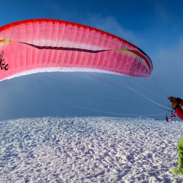 AirDesign Loco Occasion- Parapente 2-Lignes 16m² EN-C | Flying Fish