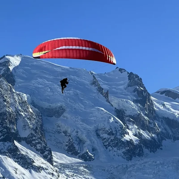AirDesign Loco Occasion- Parapente 2-Lignes 16m² EN-C | Flying Fish