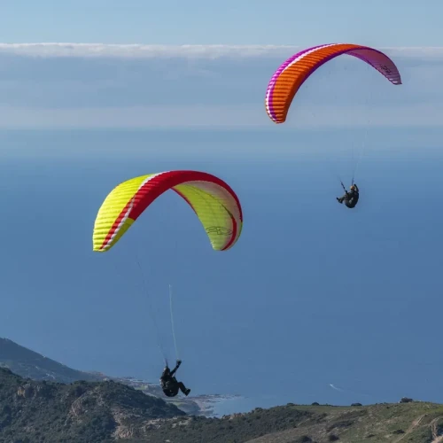 AirDesign Vivo 2 Occasion - Parapente EN-B Progression & Cross| Flying Fish 2