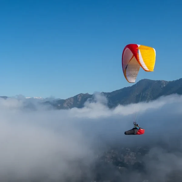 AirDesign Rise 5 Occasion - Parapente EN-B+ Hybride 2.5 Lignes Démo| Flying Fish