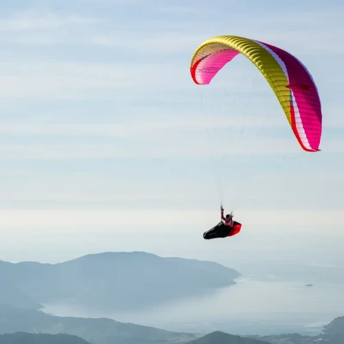 AirDesign Rise 5 Occasion - Parapente EN-B+ Hybride 2.5 Lignes Démo| Flying Fish