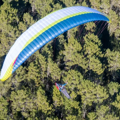 AirDesign Volt 5 Occasion - Parapente 2-Lignes EN-C | Flying Fish 2