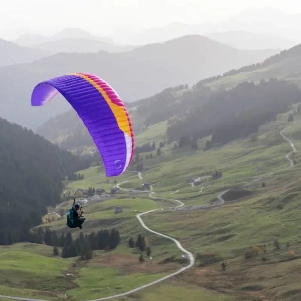 Voile Parapente EN A  Supair Birdy 2 Occasion | Flying Fish
