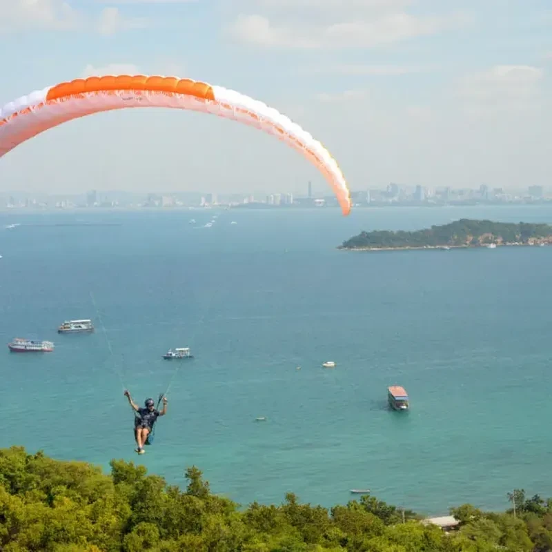 Voile Parapente EN A  Supair Birdy 2 Occasion | Flying Fish